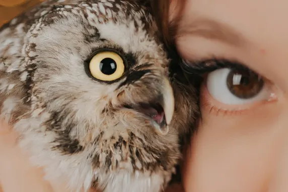 Casino AllStar Slots Podrška